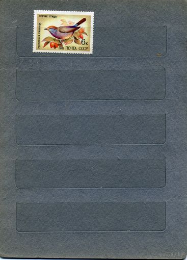 СССР, 1981, ПЕВЧИЕ ПТИЦЫ ,   1м  чистая
