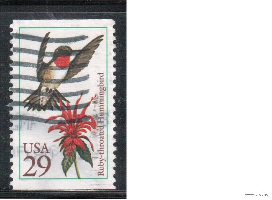 США-1992, (Мих.2246), гаш. , Фауна, Птицы