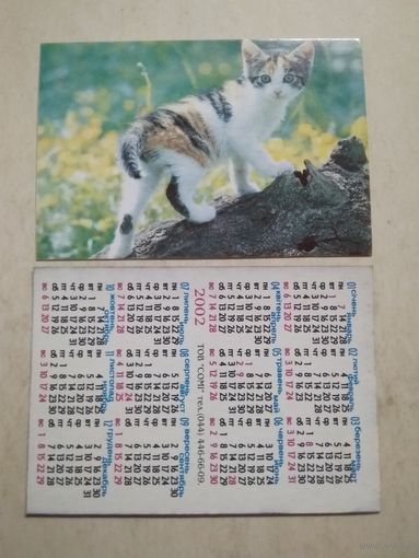 Карманный календарик . Котик. 2002 год