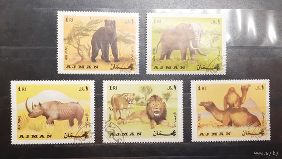 Аджман. Фауна (572)