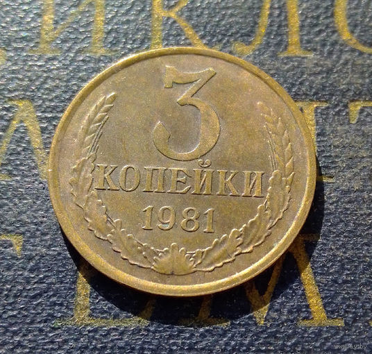 3 копейки 1981 СССР #26