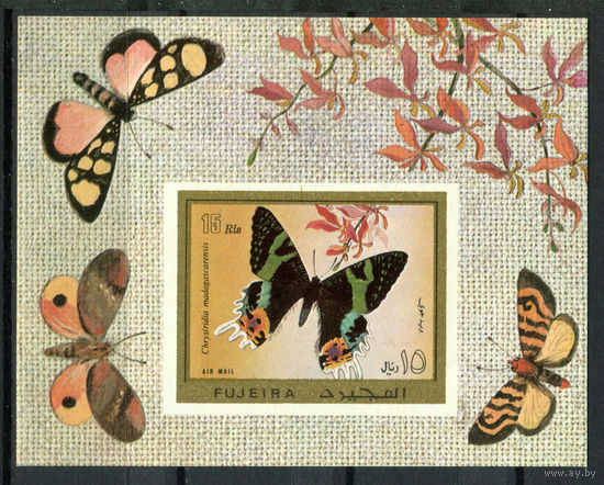 Фуджейра - 1971г. - Бабочки - полная серия, MNH [Mi bl. 79 В] - 1 блок