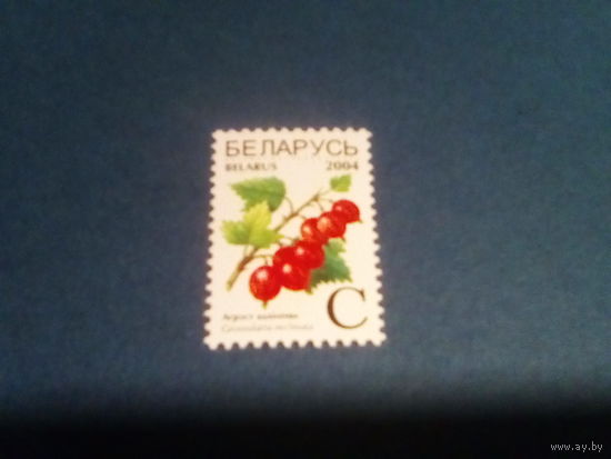 Беларусь 2004 стандарт