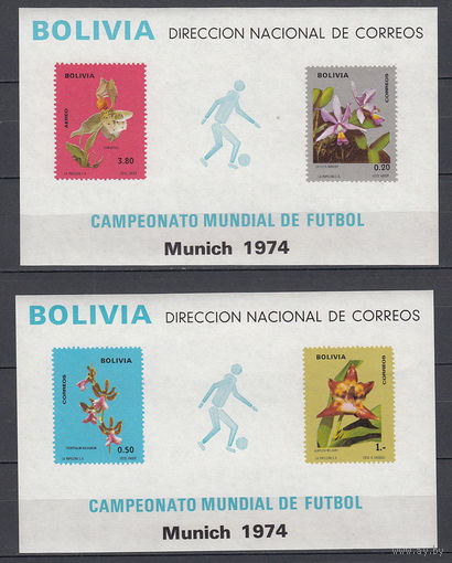 Флора. Цветы. Спорт. Футбол. Боливия. 1974. 2 блока. Michel N бл38-39 (120,0 е).