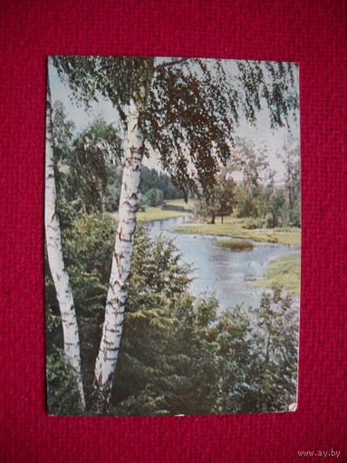 Подмосковье. На реке Уче. Бородулин. 1962 г.