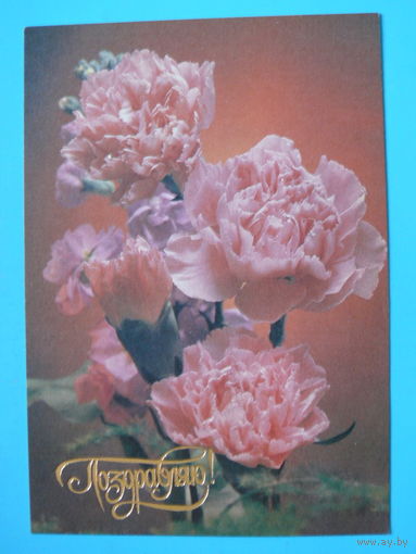 Сейнерт Э.(фото), Поздравляю! 1990, чистая.