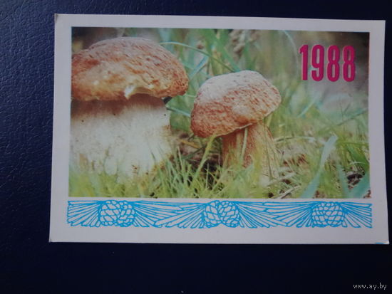 Календарик 1988 г.  Боровики. (укр. яз.).
