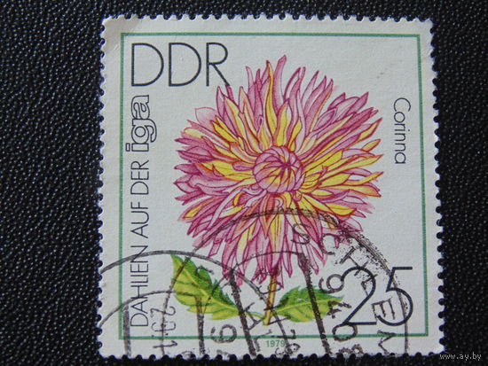 ГДР 1979 г. Флора.