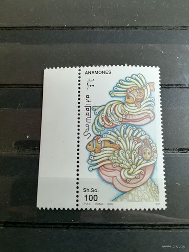 Сомали 2000 Анемоны