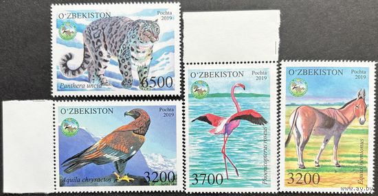 Узбекистан 2019 . фауна. Животные. MNH