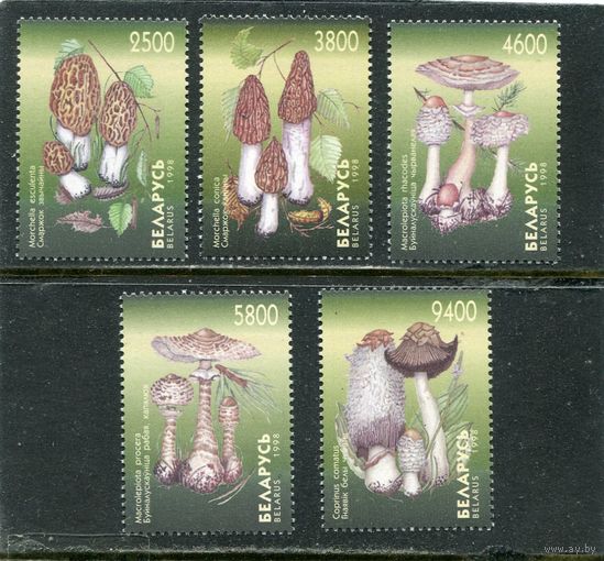 Беларусь 1998. Грибы