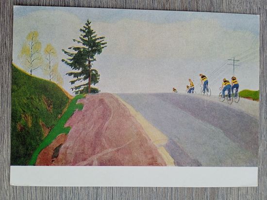 Велоспорт. 1962. Волков (БССР). Шоссе под Минском