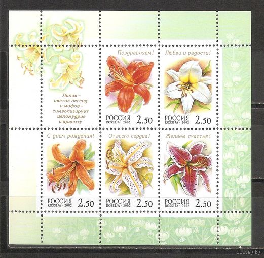 ФФ1 Россия 2002 Цветы